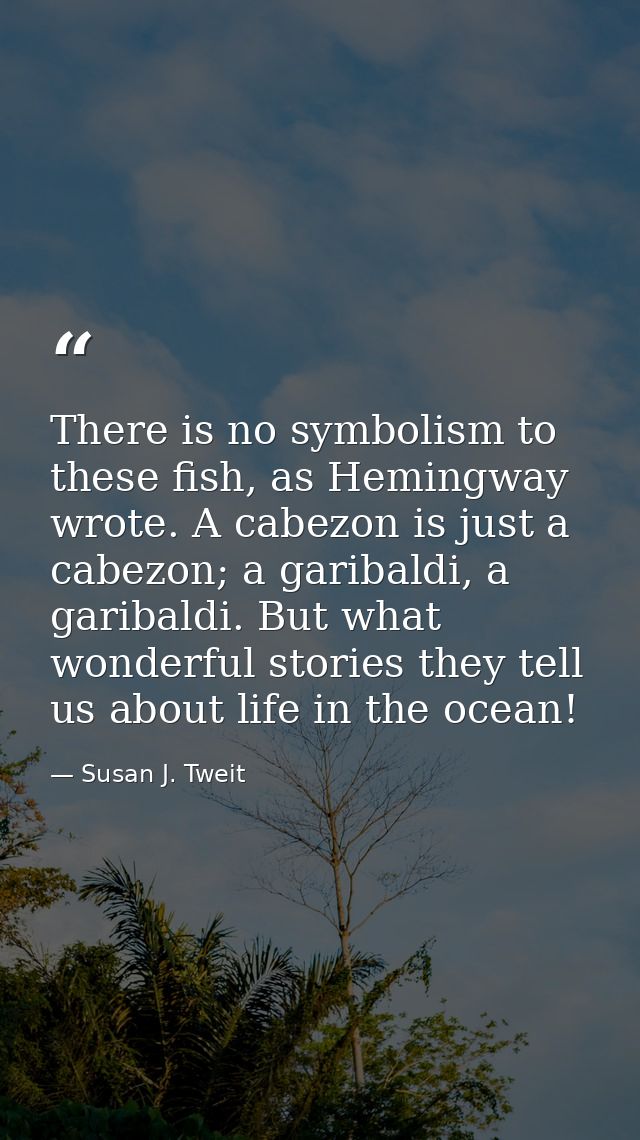 There is no symbolism to these fish, as Hemingway wrote. A cabezon is just a cabezon; a garibaldi, a garibaldi. But what — Susan J. Tweit