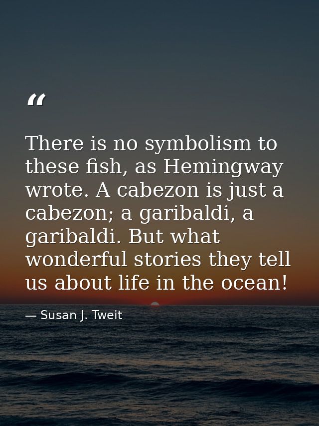There is no symbolism to these fish, as Hemingway wrote. A cabezon is just a cabezon; a garibaldi, a garibaldi. But what — Susan J. Tweit