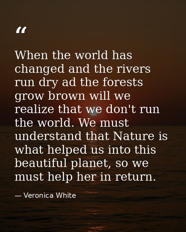 When the world has changed and the rivers run dry ad the forests grow brown will we realize that we don't run the world. — Veronica White