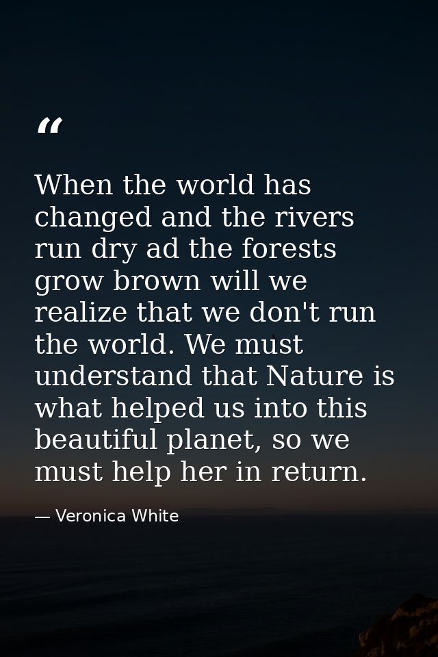 When the world has changed and the rivers run dry ad the forests grow brown will we realize that we don't run the world. — Veronica White