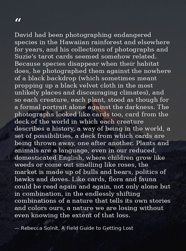 David had been photographing endangered species in the Hawaiian rainforest and elsewhere for years, and his collections  — Rebecca Solnit, A Field Guide to Getting Lost
