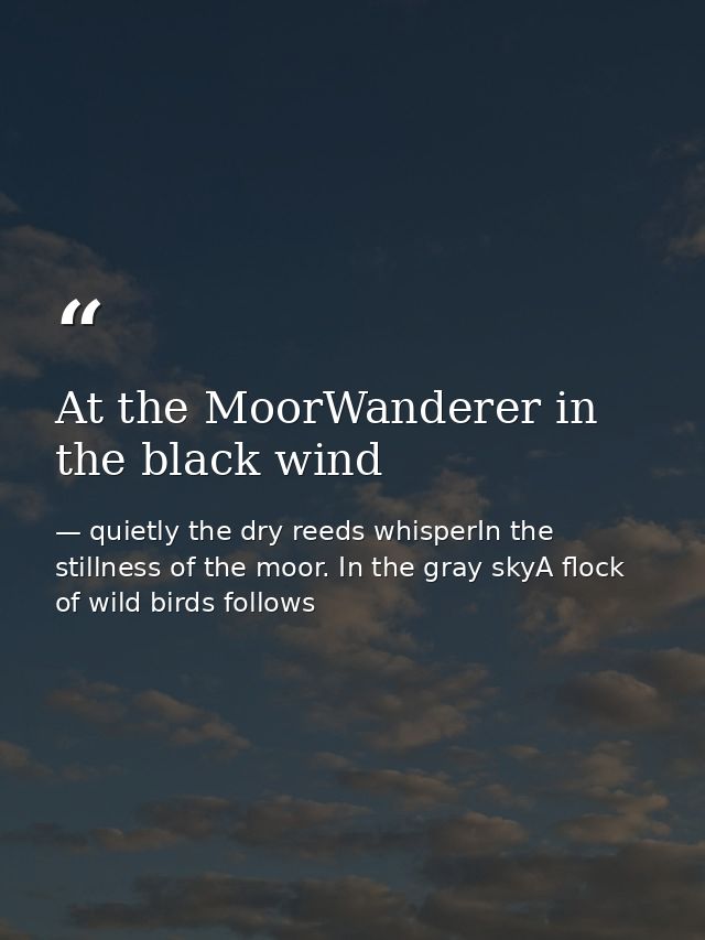 At the MoorWanderer in the black wind — quietly the dry reeds whisperIn the stillness of the moor. In the gray skyA flock of wild birds follows