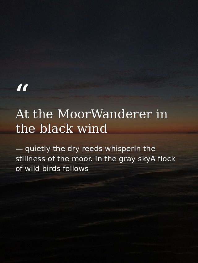 At the MoorWanderer in the black wind — quietly the dry reeds whisperIn the stillness of the moor. In the gray skyA flock of wild birds follows