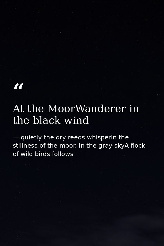 At the MoorWanderer in the black wind — quietly the dry reeds whisperIn the stillness of the moor. In the gray skyA flock of wild birds follows