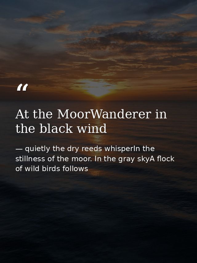 At the MoorWanderer in the black wind — quietly the dry reeds whisperIn the stillness of the moor. In the gray skyA flock of wild birds follows