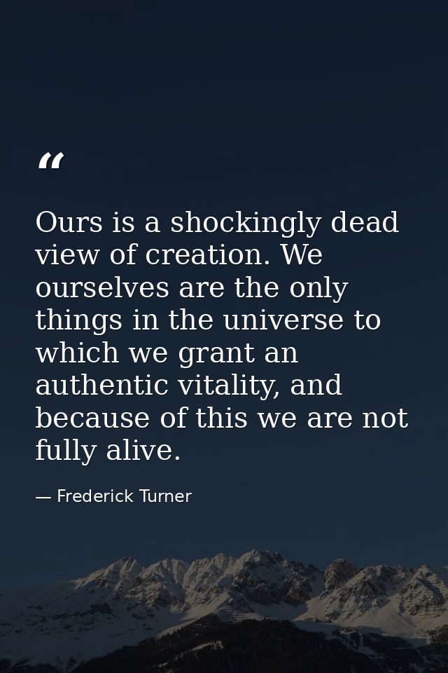 Ours is a shockingly dead view of creation. We ourselves are the only things in the universe to which we grant an authen — Frederick Turner