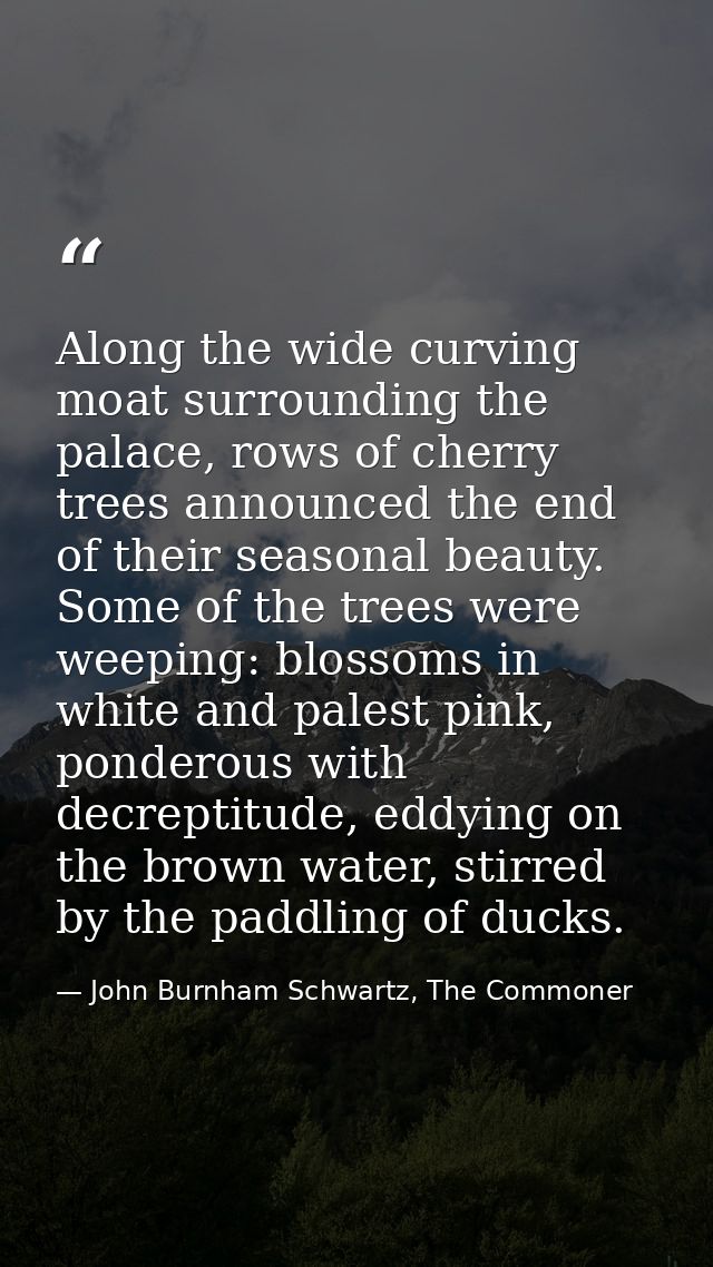 Along the wide curving moat surrounding the palace, rows of cherry trees announced the end of their seasonal beauty. Som — John Burnham Schwartz, The Commoner