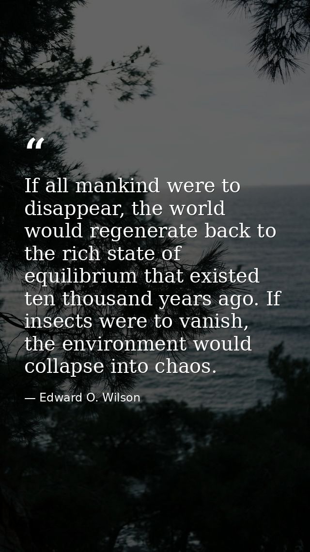 If all mankind were to disappear, the world would regenerate back to the rich state of equilibrium that existed ten thou — Edward O. Wilson