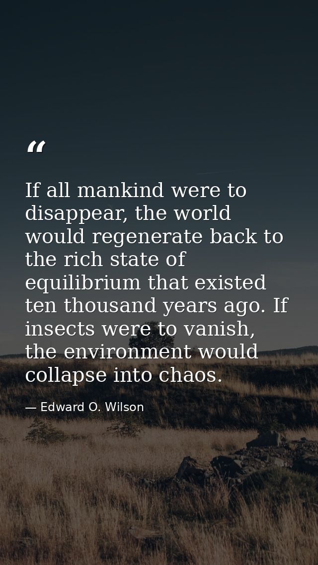 If all mankind were to disappear, the world would regenerate back to the rich state of equilibrium that existed ten thou — Edward O. Wilson