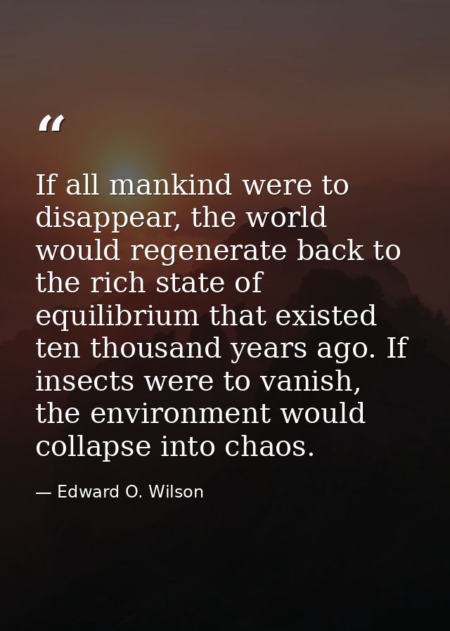 If all mankind were to disappear, the world would regenerate back to the rich state of equilibrium that existed ten thou — Edward O. Wilson