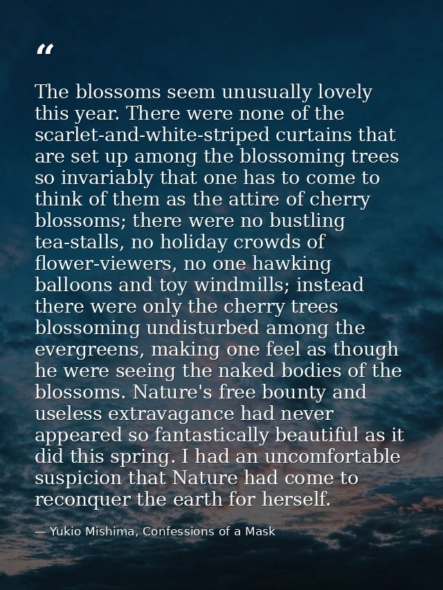 The blossoms seem unusually lovely this year. There were none of the scarlet-and-white-striped curtains that are set up  — Yukio Mishima, Confessions of a Mask