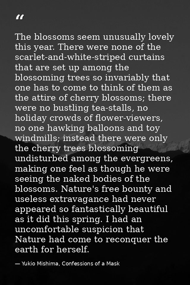 The blossoms seem unusually lovely this year. There were none of the scarlet-and-white-striped curtains that are set up  — Yukio Mishima, Confessions of a Mask