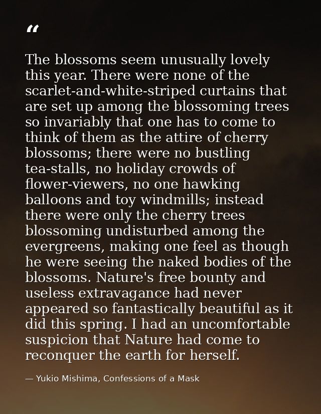The blossoms seem unusually lovely this year. There were none of the scarlet-and-white-striped curtains that are set up  — Yukio Mishima, Confessions of a Mask