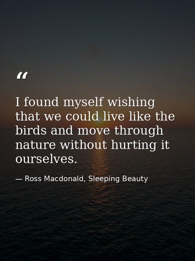 I found myself wishing that we could live like the birds and move through nature without hurting it ourselves. — Ross Macdonald, Sleeping Beauty