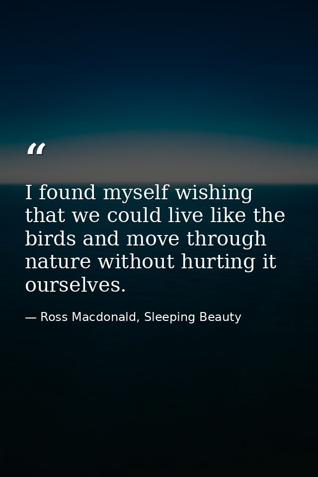 I found myself wishing that we could live like the birds and move through nature without hurting it ourselves. — Ross Macdonald, Sleeping Beauty