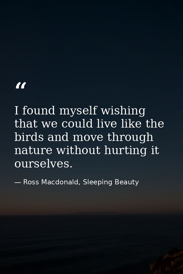 I found myself wishing that we could live like the birds and move through nature without hurting it ourselves. — Ross Macdonald, Sleeping Beauty