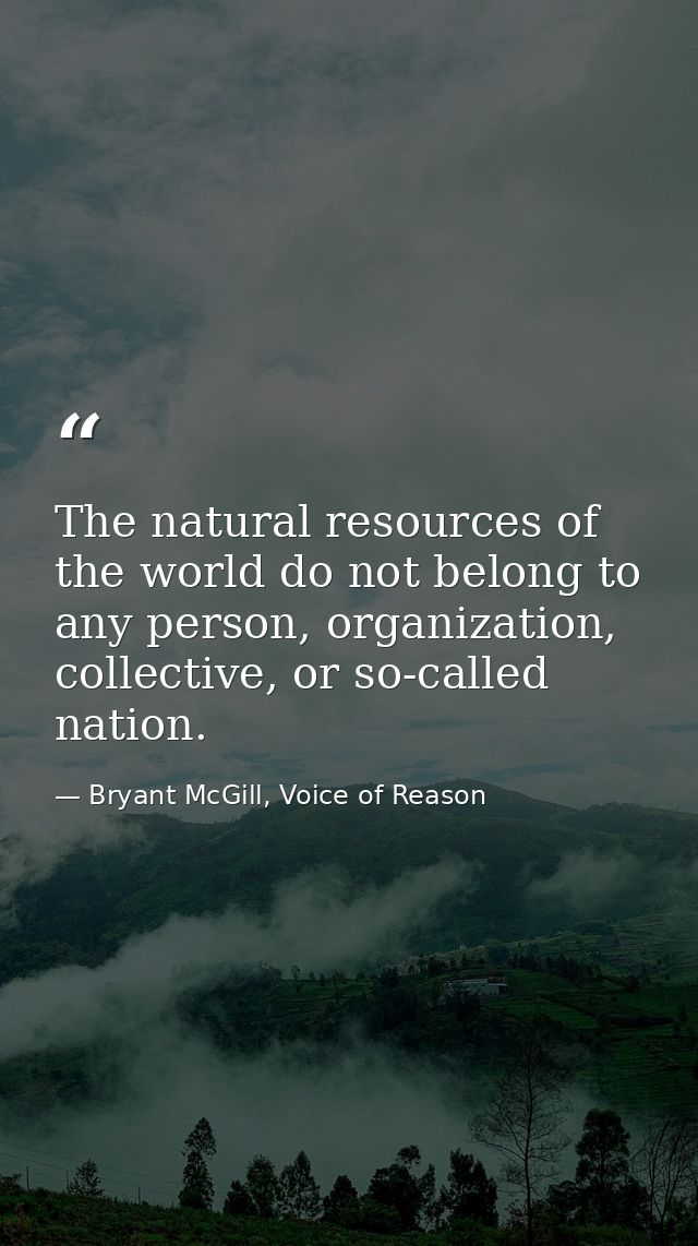 The natural resources of the world do not belong to any person, organization, collective, or so-called nation. — Bryant McGill, Voice of Reason