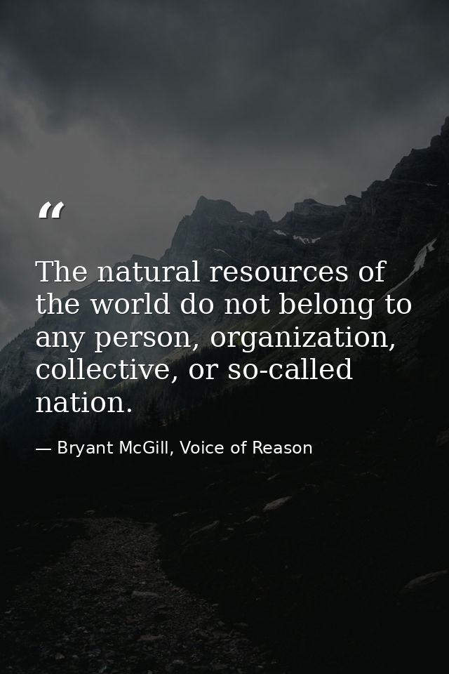 The natural resources of the world do not belong to any person, organization, collective, or so-called nation. — Bryant McGill, Voice of Reason