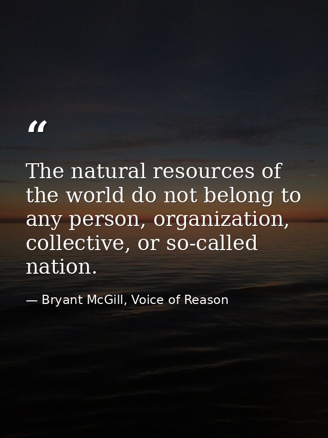 The natural resources of the world do not belong to any person, organization, collective, or so-called nation. — Bryant McGill, Voice of Reason