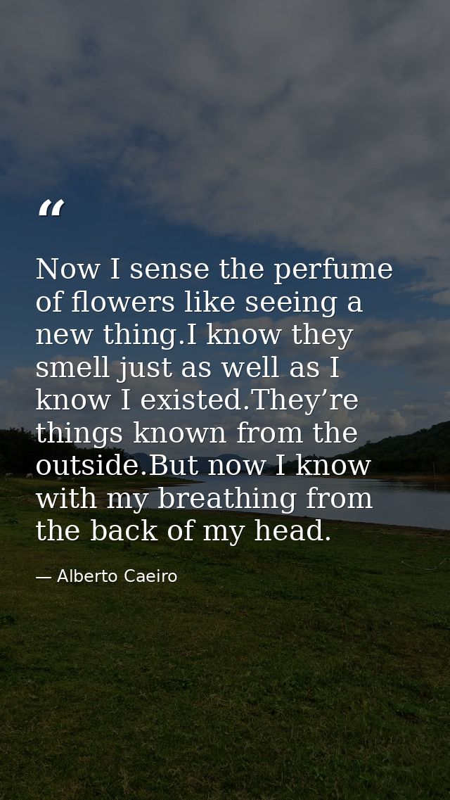 Now I sense the perfume of flowers like seeing a new thing.I know they smell just as well as I know I existed.They’re th — Alberto Caeiro
