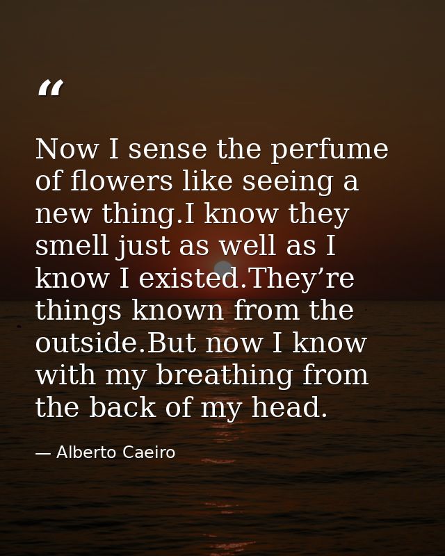 Now I sense the perfume of flowers like seeing a new thing.I know they smell just as well as I know I existed.They’re th — Alberto Caeiro