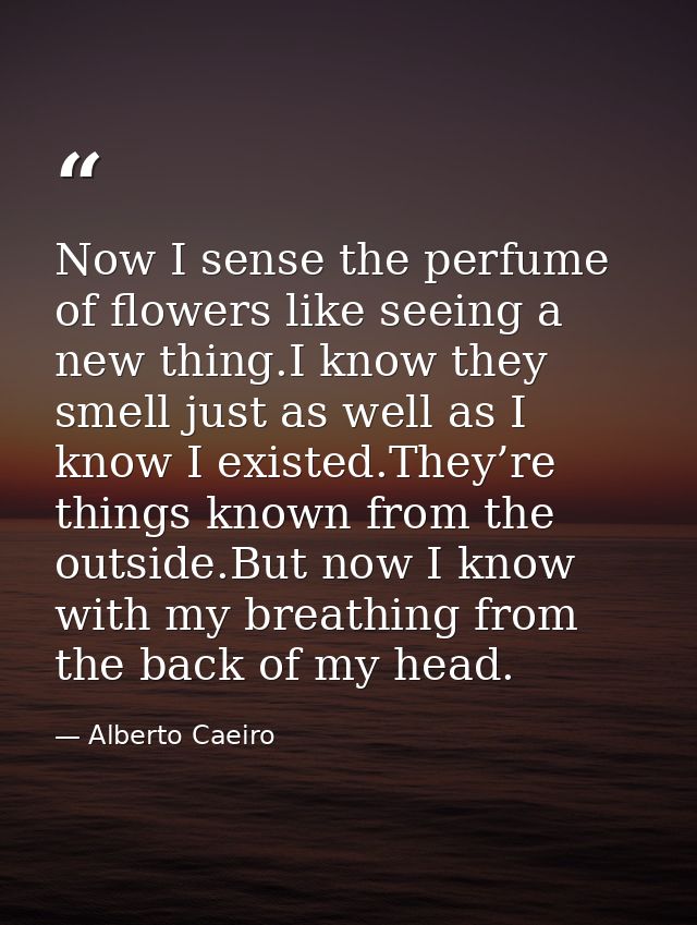 Now I sense the perfume of flowers like seeing a new thing.I know they smell just as well as I know I existed.They’re th — Alberto Caeiro
