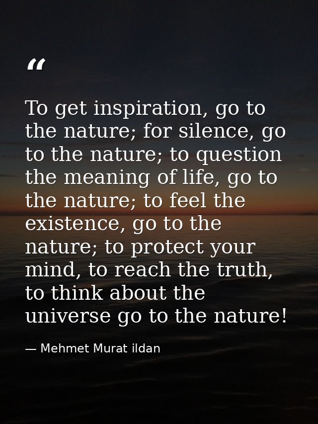 To get inspiration, go to the nature; for silence, go to the nature; to question the meaning of life, go to the nature;  — Mehmet Murat ildan