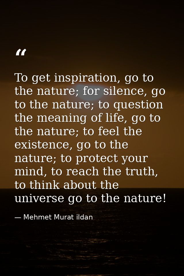 To get inspiration, go to the nature; for silence, go to the nature; to question the meaning of life, go to the nature;  — Mehmet Murat ildan