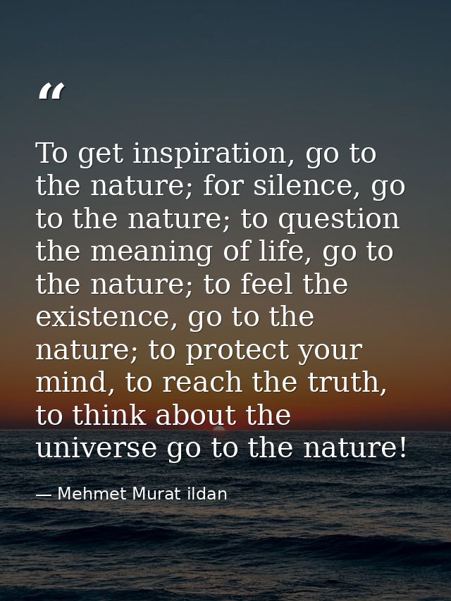 To get inspiration, go to the nature; for silence, go to the nature; to question the meaning of life, go to the nature;  — Mehmet Murat ildan