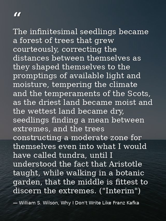 The infinitesimal seedlings became a forest of trees that grew courteously, correcting the distances between themselves  — William S. Wilson, Why I Don't Write Like Franz Kafka