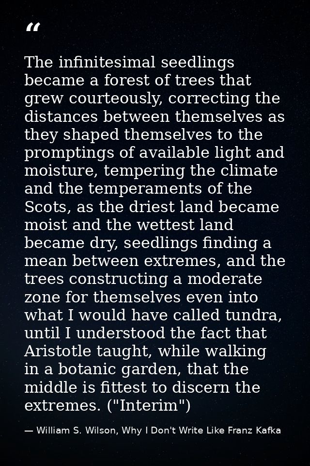 The infinitesimal seedlings became a forest of trees that grew courteously, correcting the distances between themselves  — William S. Wilson, Why I Don't Write Like Franz Kafka
