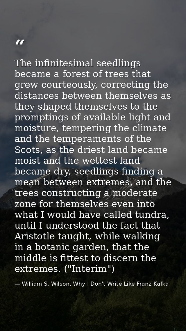 The infinitesimal seedlings became a forest of trees that grew courteously, correcting the distances between themselves  — William S. Wilson, Why I Don't Write Like Franz Kafka