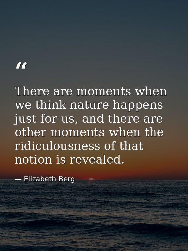 There are moments when we think nature happens just for us, and there are other moments when the ridiculousness of that  — Elizabeth Berg