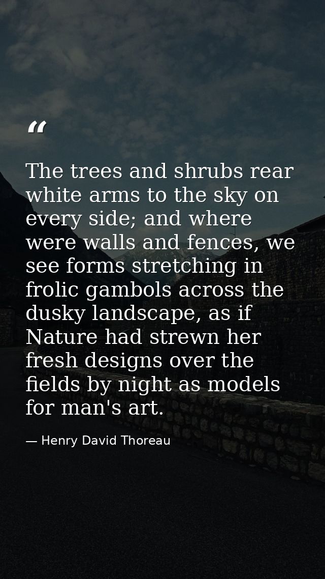 The trees and shrubs rear white arms to the sky on every side; and where were walls and fences, we see forms stretching  — Henry David Thoreau