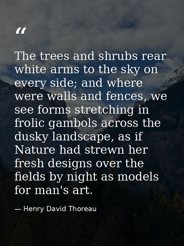 The trees and shrubs rear white arms to the sky on every side; and where were walls and fences, we see forms stretching  — Henry David Thoreau