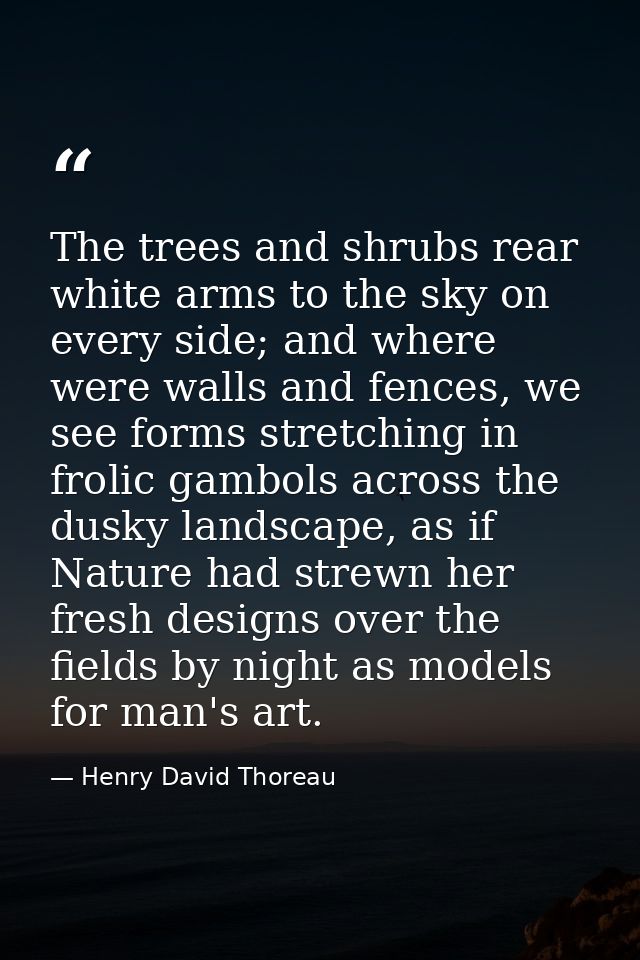 The trees and shrubs rear white arms to the sky on every side; and where were walls and fences, we see forms stretching  — Henry David Thoreau