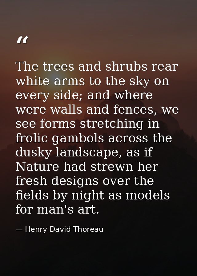 The trees and shrubs rear white arms to the sky on every side; and where were walls and fences, we see forms stretching  — Henry David Thoreau