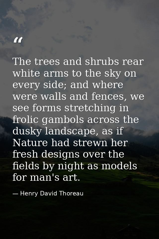 The trees and shrubs rear white arms to the sky on every side; and where were walls and fences, we see forms stretching  — Henry David Thoreau