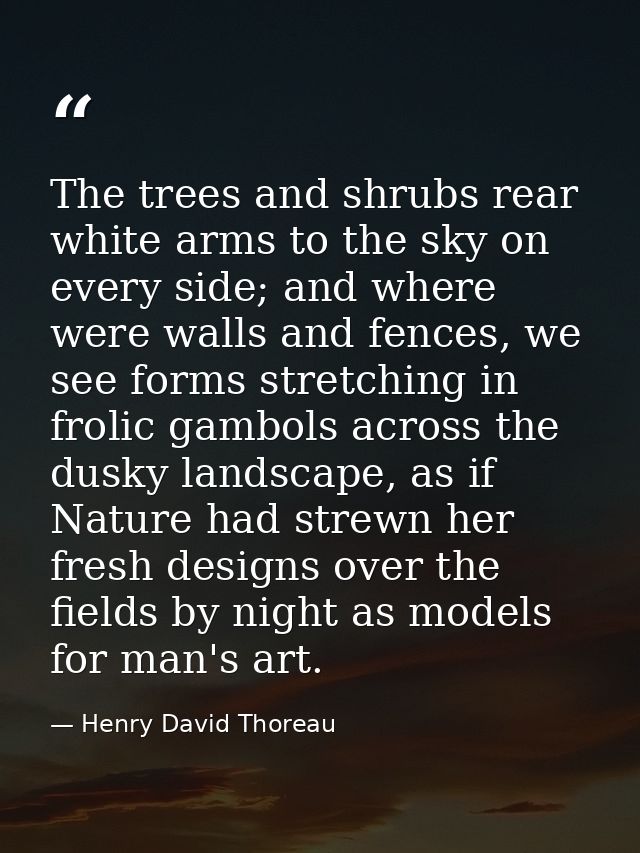 The trees and shrubs rear white arms to the sky on every side; and where were walls and fences, we see forms stretching  — Henry David Thoreau