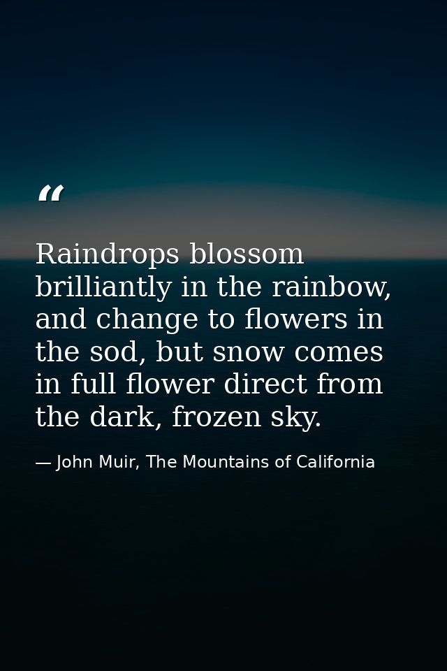 Raindrops blossom brilliantly in the rainbow, and change to flowers in the sod, but snow comes in full flower direct fro — John Muir, The Mountains of California