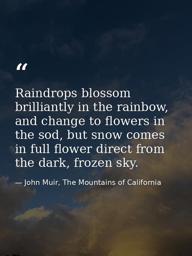Raindrops blossom brilliantly in the rainbow, and change to flowers in the sod, but snow comes in full flower direct fro — John Muir, The Mountains of California
