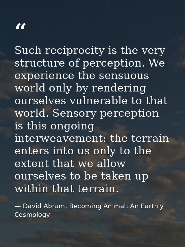 Such reciprocity is the very structure of perception. We experience the sensuous world only by rendering ourselves vulne — David Abram, Becoming Animal: An Earthly Cosmology