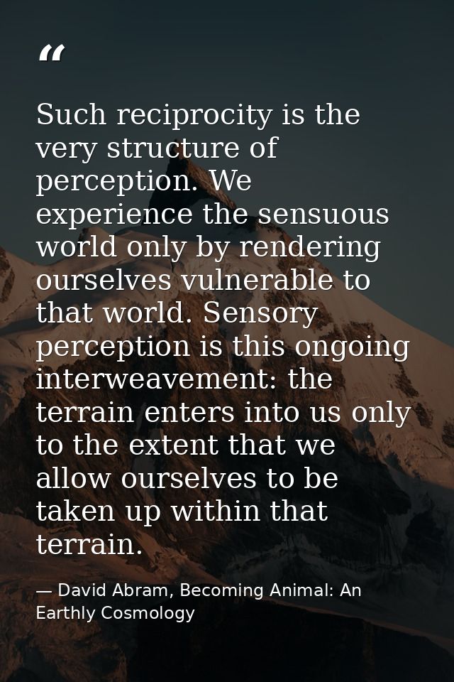 Such reciprocity is the very structure of perception. We experience the sensuous world only by rendering ourselves vulne — David Abram, Becoming Animal: An Earthly Cosmology
