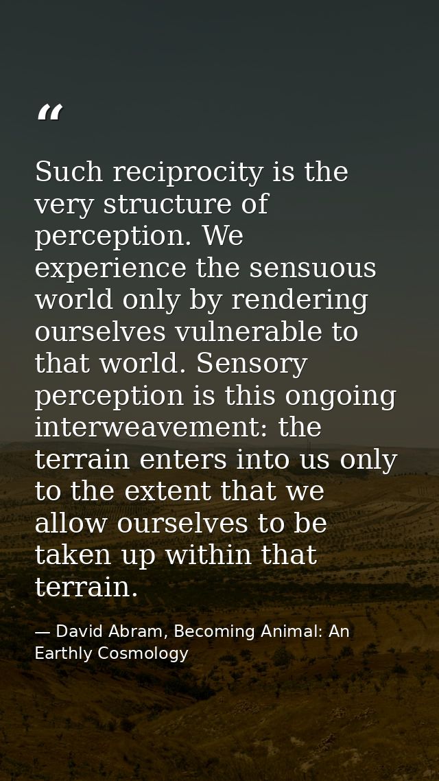Such reciprocity is the very structure of perception. We experience the sensuous world only by rendering ourselves vulne — David Abram, Becoming Animal: An Earthly Cosmology