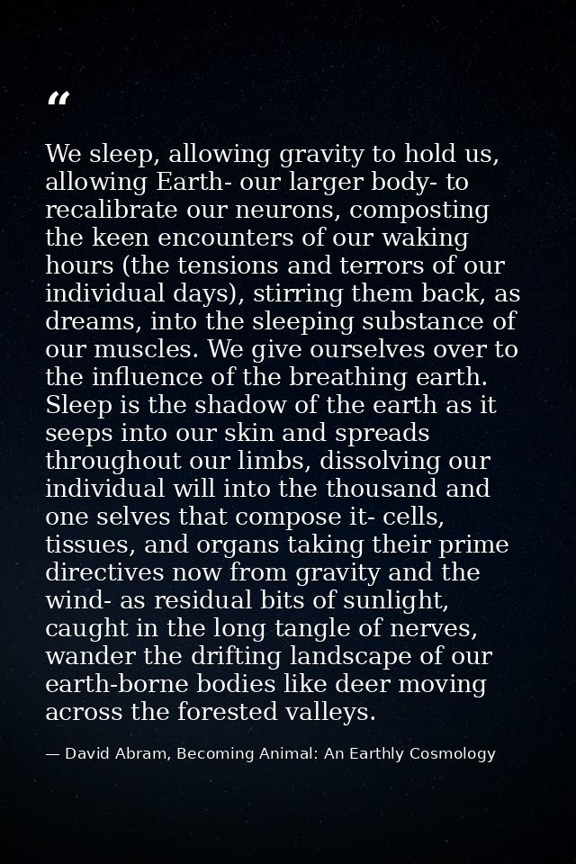 We sleep, allowing gravity to hold us, allowing Earth- our larger body- to recalibrate our neurons, composting the keen  — David Abram, Becoming Animal: An Earthly Cosmology