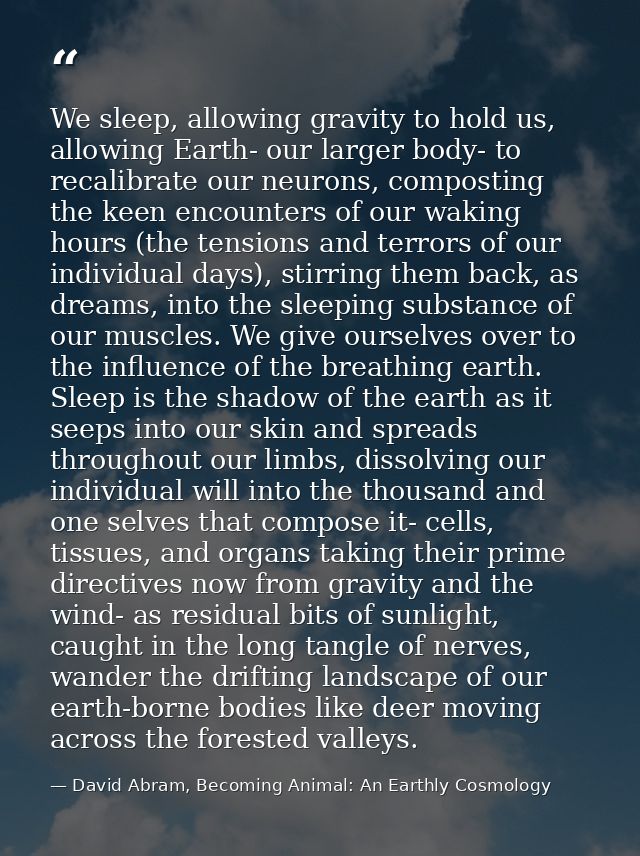 We sleep, allowing gravity to hold us, allowing Earth- our larger body- to recalibrate our neurons, composting the keen  — David Abram, Becoming Animal: An Earthly Cosmology