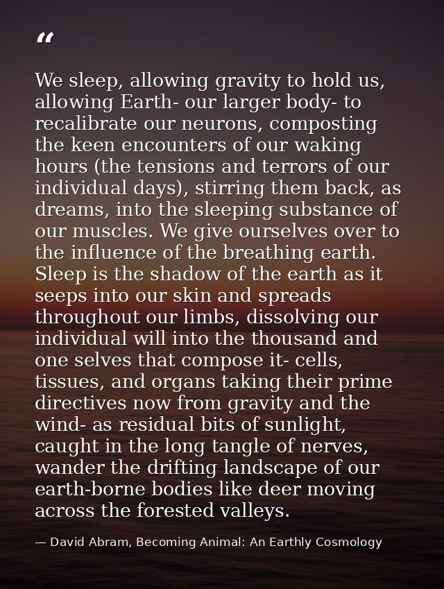 We sleep, allowing gravity to hold us, allowing Earth- our larger body- to recalibrate our neurons, composting the keen  — David Abram, Becoming Animal: An Earthly Cosmology
