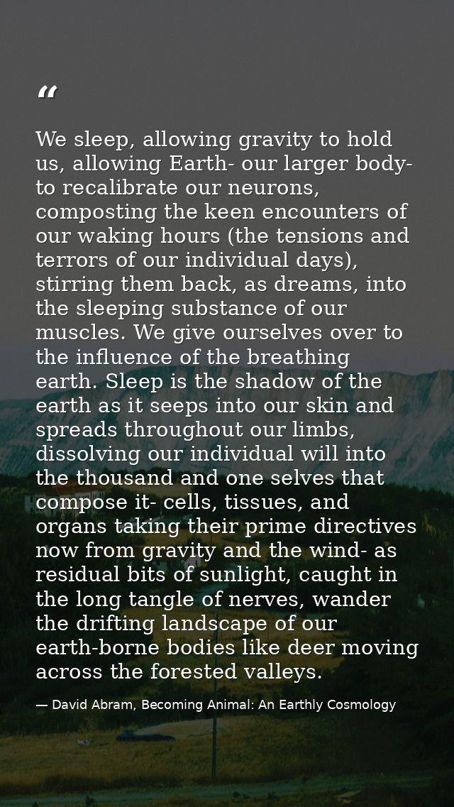 We sleep, allowing gravity to hold us, allowing Earth- our larger body- to recalibrate our neurons, composting the keen  — David Abram, Becoming Animal: An Earthly Cosmology