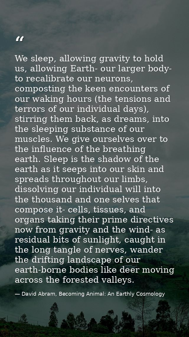 We sleep, allowing gravity to hold us, allowing Earth- our larger body- to recalibrate our neurons, composting the keen  — David Abram, Becoming Animal: An Earthly Cosmology