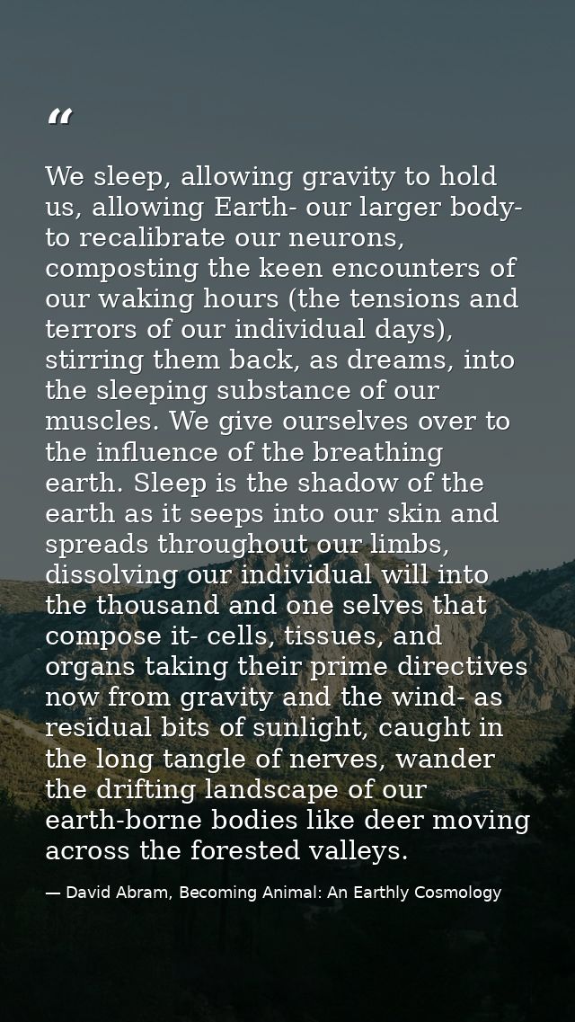 We sleep, allowing gravity to hold us, allowing Earth- our larger body- to recalibrate our neurons, composting the keen  — David Abram, Becoming Animal: An Earthly Cosmology